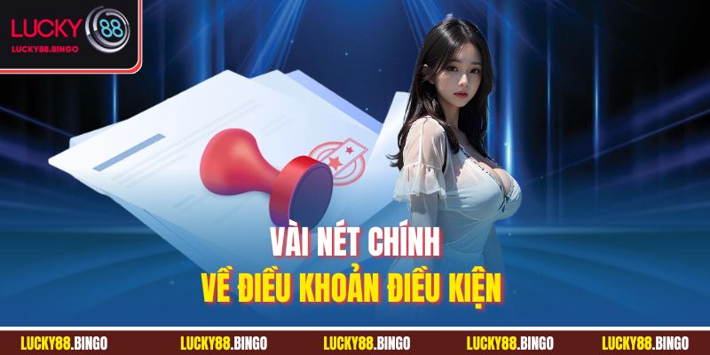 Vài nét chính về điều khoản điều kiện