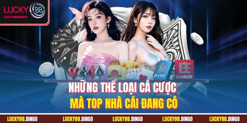 Những thể loại cá cược mà top nhà cái đang có